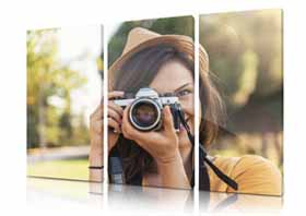 Plexiglass composizione in pannelli - Graphic Shot