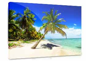 Stampa su plexiglass - Graphic Shot